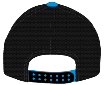 Rocky Mountain Experts - Team Logo Hat