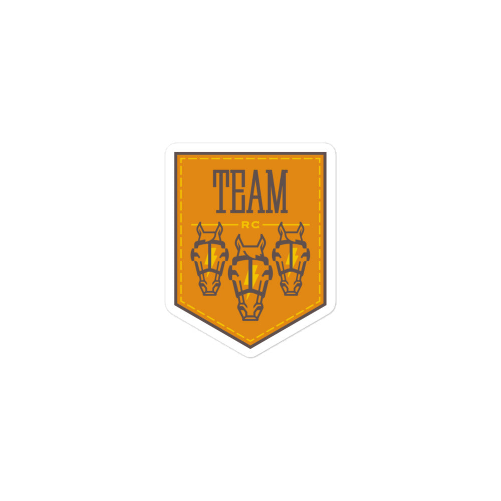 Texas Team Logo Sticker