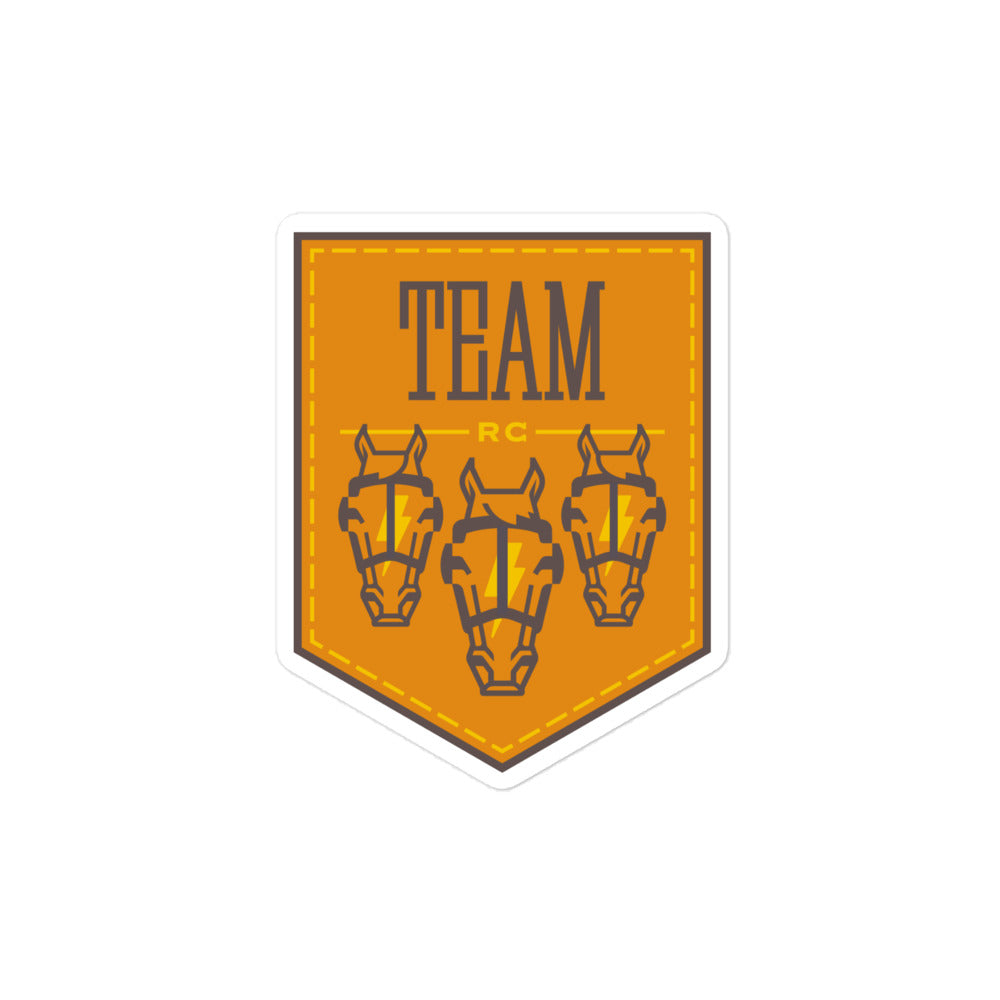 Texas Team Logo Sticker
