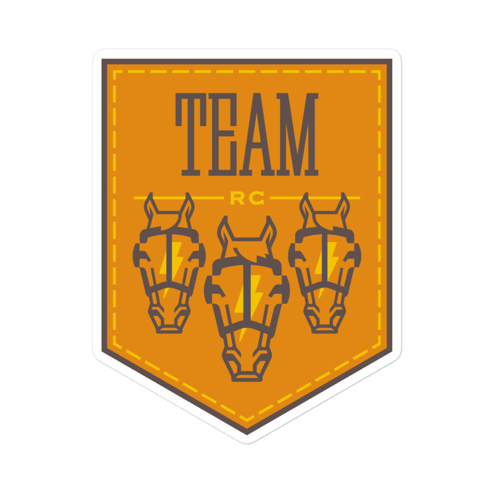 Texas Team Logo Sticker