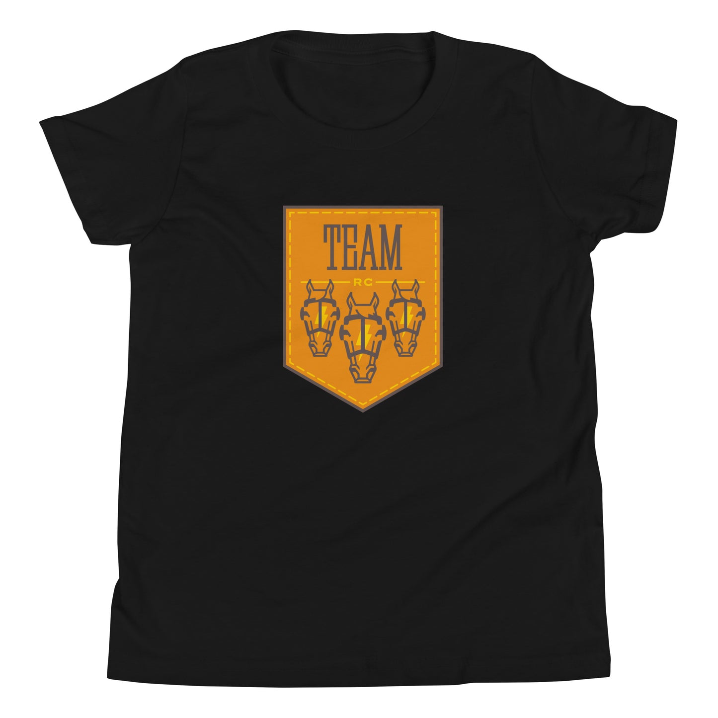 Texas Team Logo Graphic Youth T-shirt