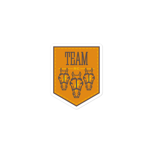 Texas Team Logo Sticker